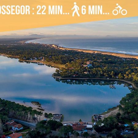 Hossegor - Vue Ocean - Plage - Couple - Famille ソール・オスゴール エクステリア 写真